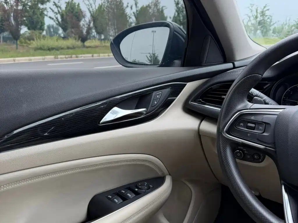 Buick Regal — миниатюра 12