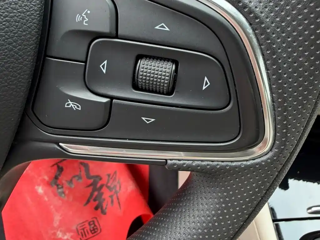 Buick Regal — миниатюра 25