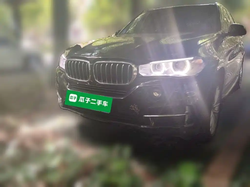 BMW X5 (Import) — миниатюра 23
