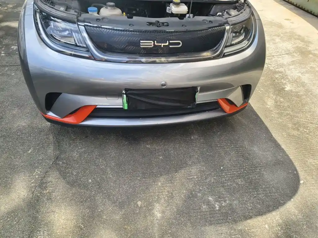 BYD Dolphin — миниатюра 16