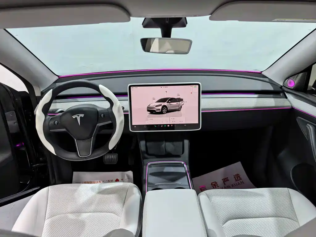 Tesla Model Y — миниатюра 6