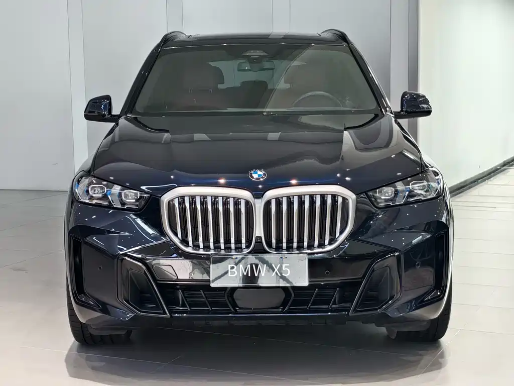 BMW X5 — миниатюра 2