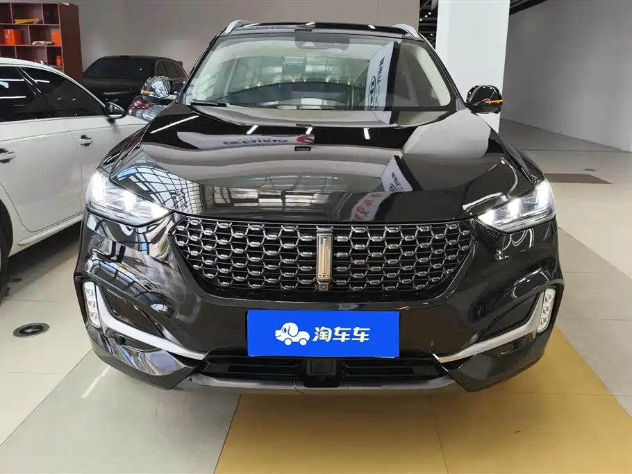 Wey Wey VV6 2020