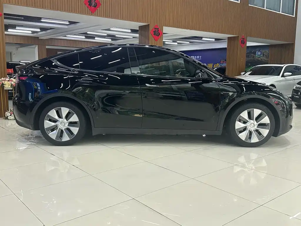 Tesla Model Y — миниатюра 5