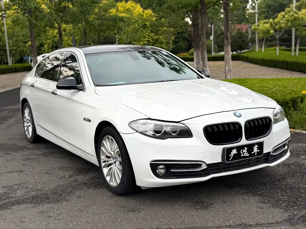 BMW 5 Series — миниатюра 3