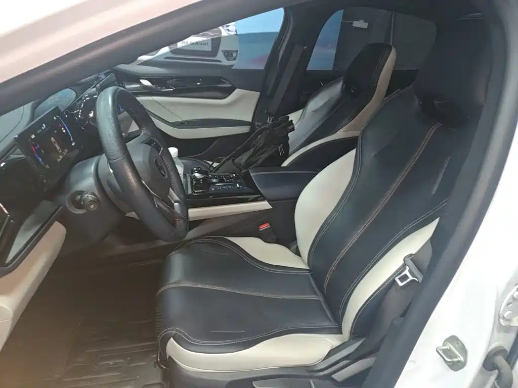 BYD Qin PLUS — миниатюра 15