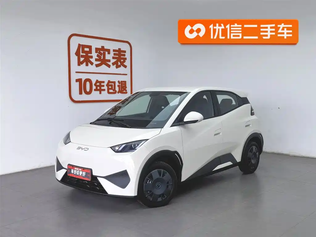 Byd Seagull 2025