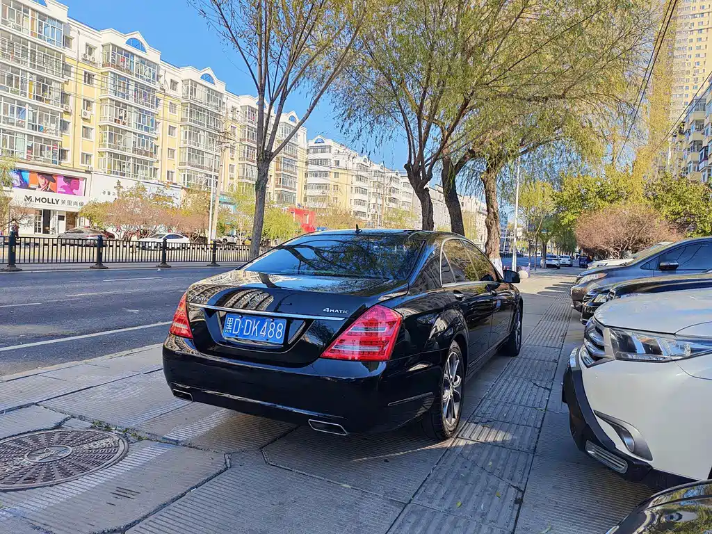 Mercedes-Benz S-Class S 2010 S 300 L Luxury