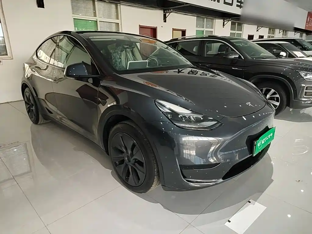 Tesla Model Y — миниатюра 4