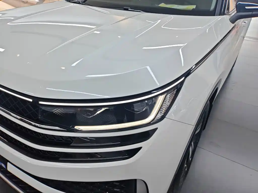 Volkswagen Tavendor — миниатюра 24