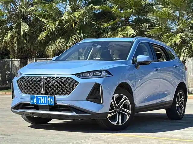 WEI PAI MACCHIATO DHT 2023