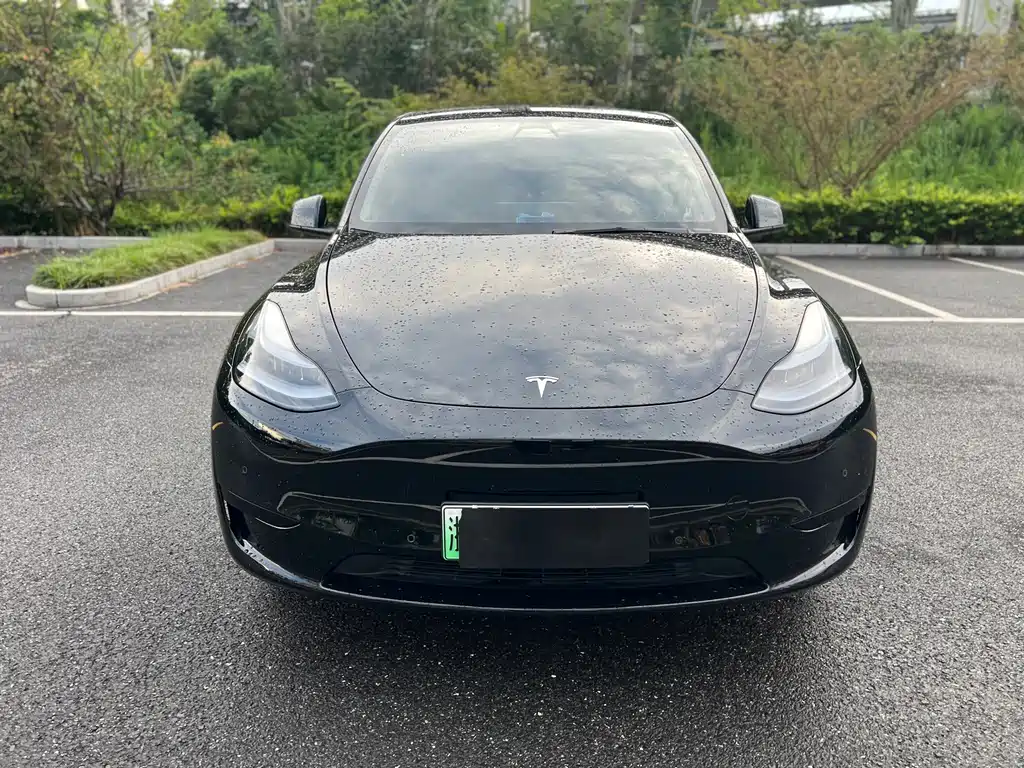 Tesla Model Y — миниатюра 2