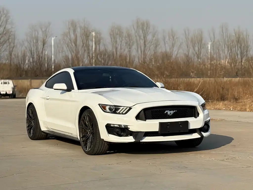 FORD MUSTANG