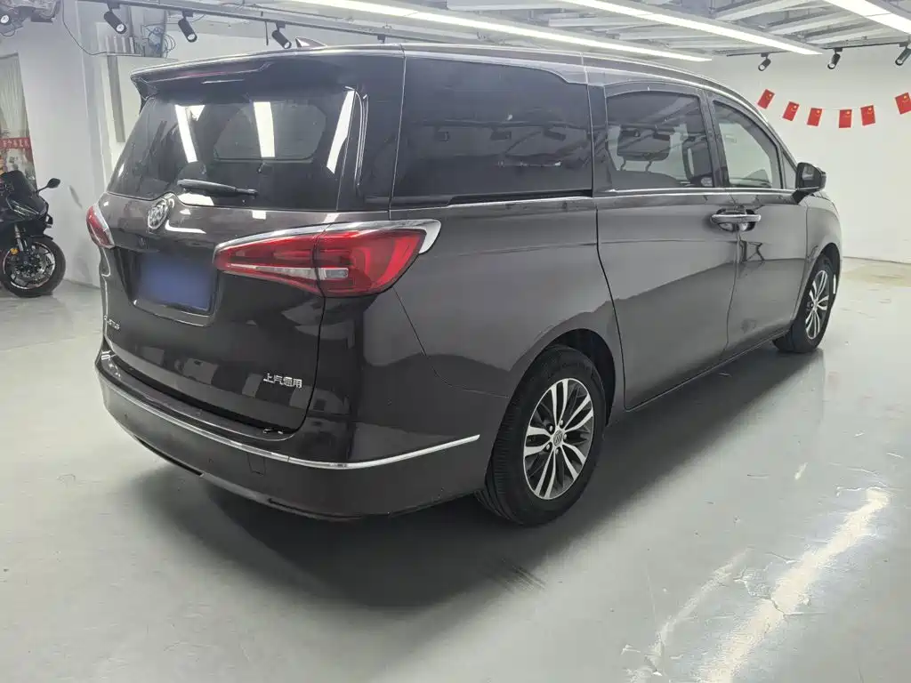 Buick GL8 — миниатюра 12