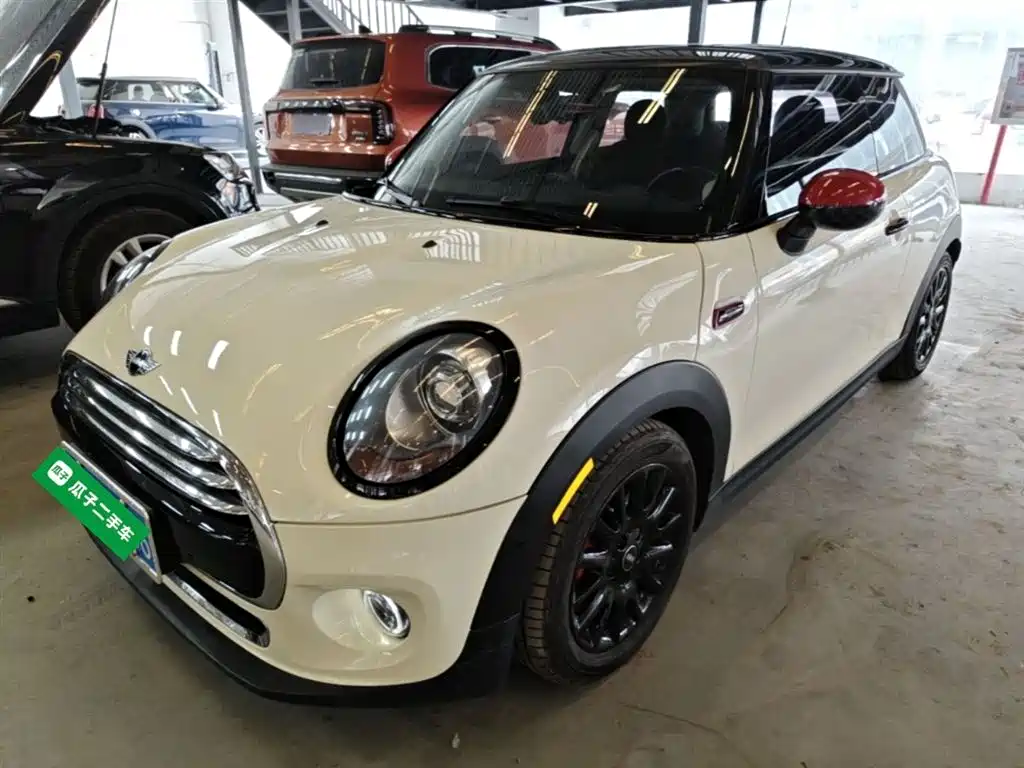 Mini Mini 2018