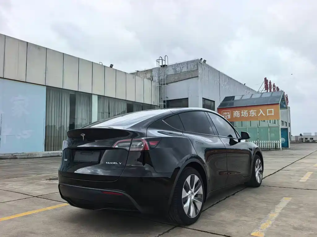 Tesla Model Y — миниатюра 10