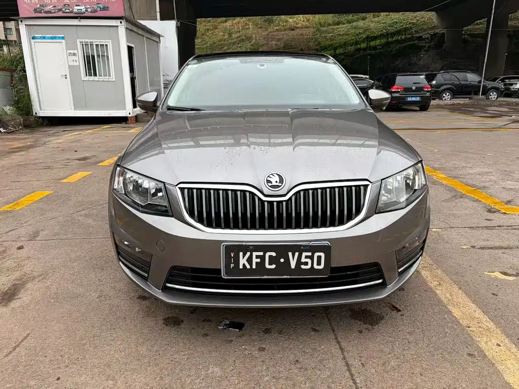 Skoda Octavia — миниатюра 2