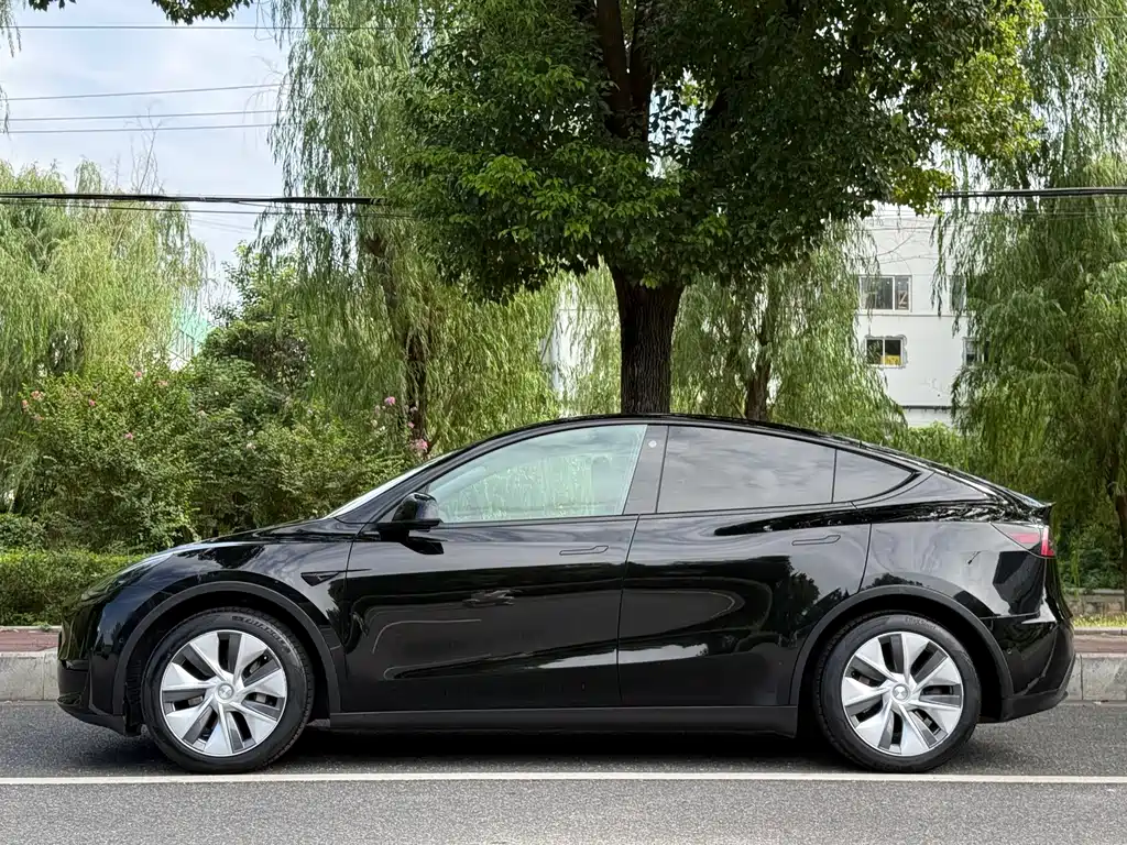 Tesla Model Y — миниатюра 2
