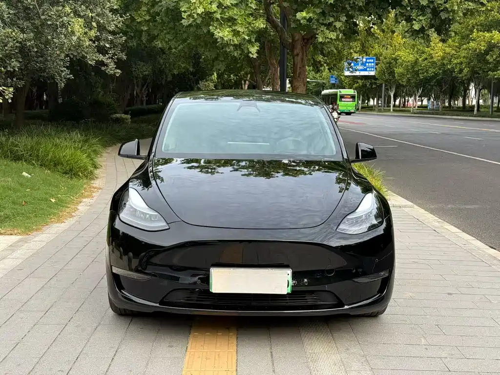 Tesla Model Y — миниатюра 2