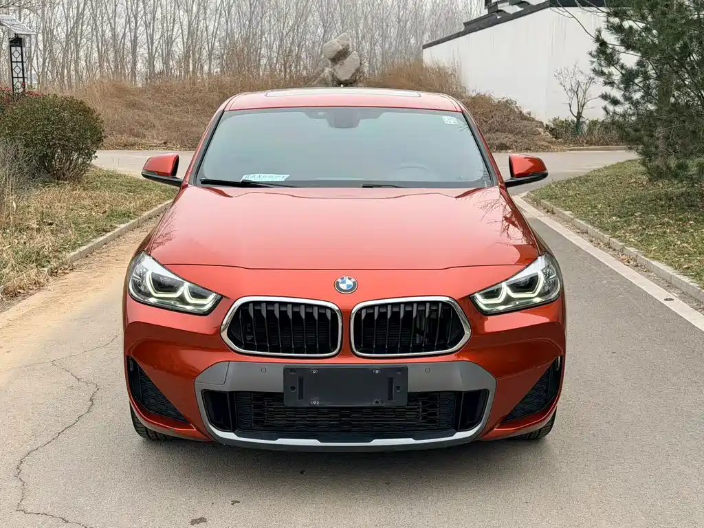 BMW X2 2020 sDrive25i Lead M