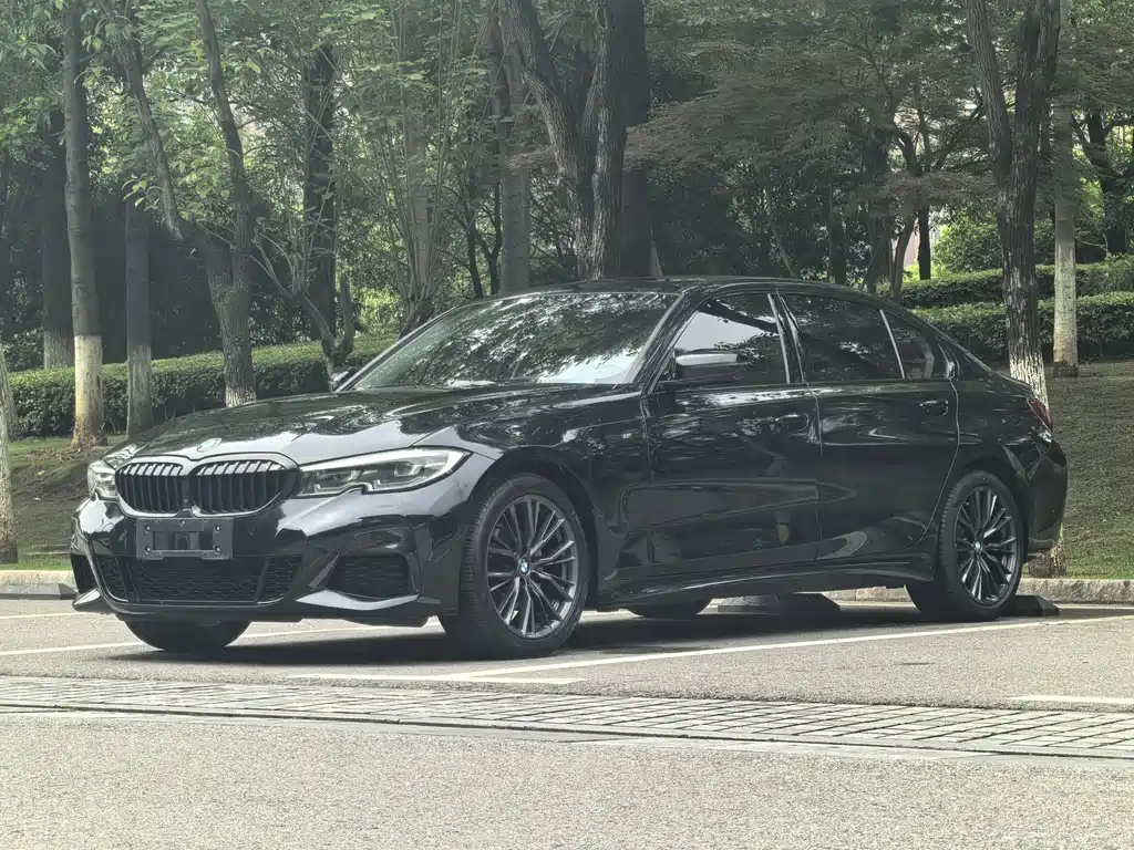 Купить BMW 3 Series