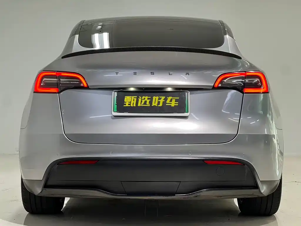 Tesla Model Y — миниатюра 9