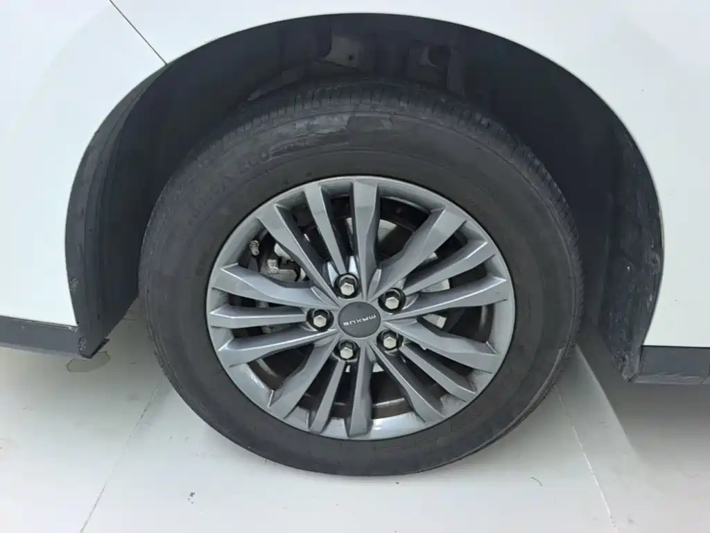 MAXUS G50 — миниатюра 23