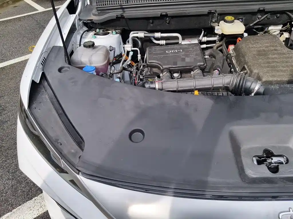 BYD Pro New Energy — миниатюра 21