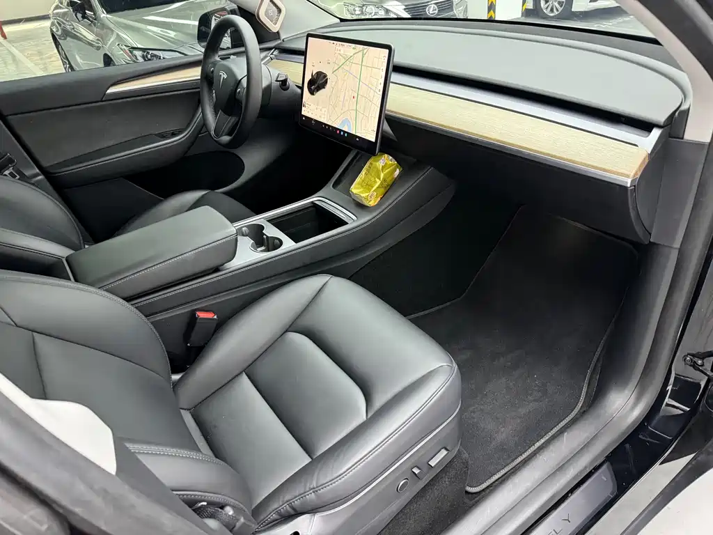 Tesla Model Y — миниатюра 11