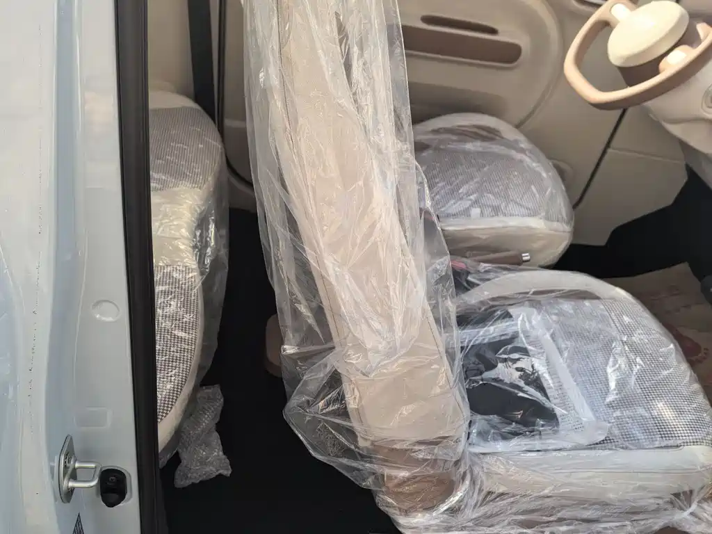 BESTUNE PENTIUM PONY