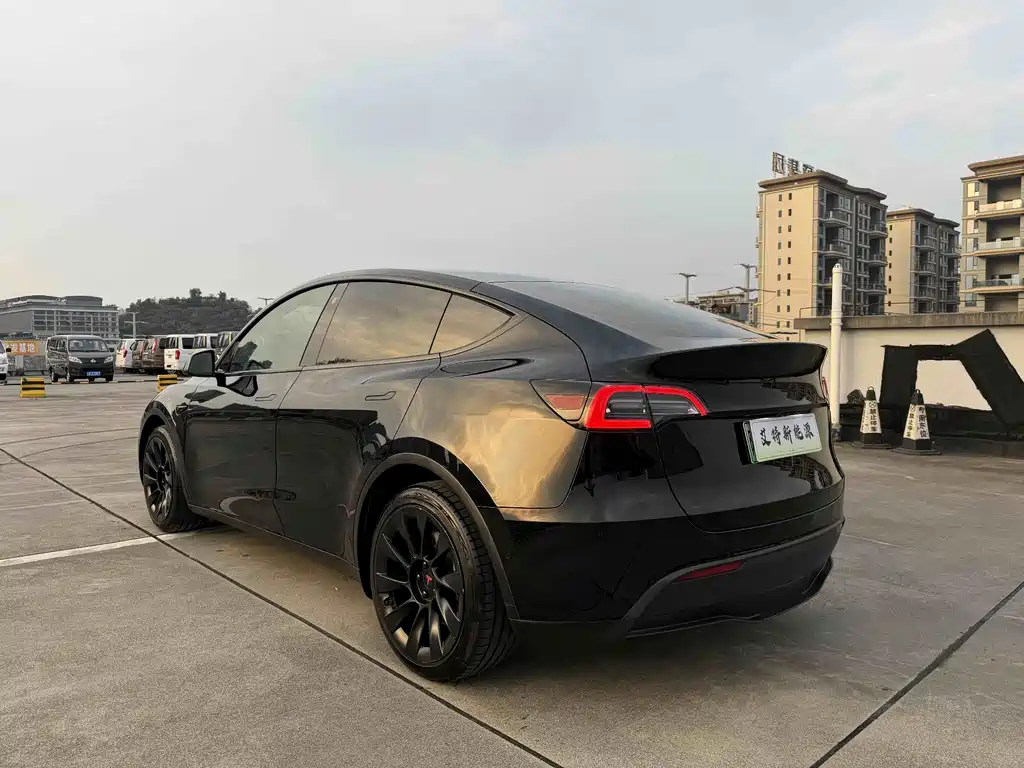 Tesla Model Y — миниатюра 6