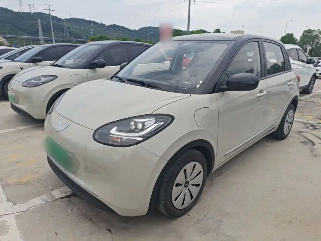 Wuling Bingo