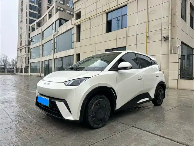 BYD SEAGULL 2025
