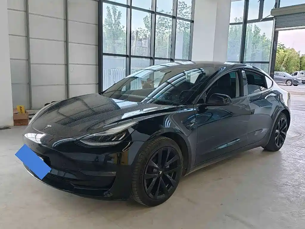 Tesla Model 3 2019