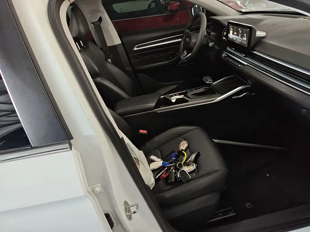 Geely Emgrand — миниатюра 25