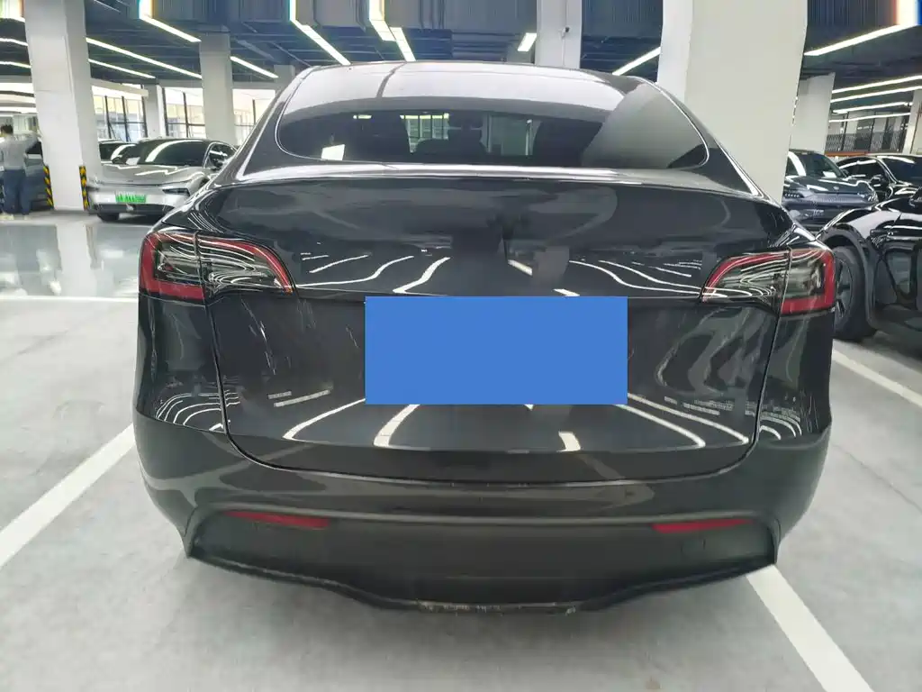 Tesla Model Y — миниатюра 9