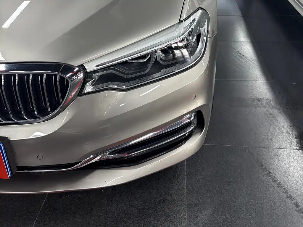 BMW 5 Series 5 2020 530Li xDrive Luxury