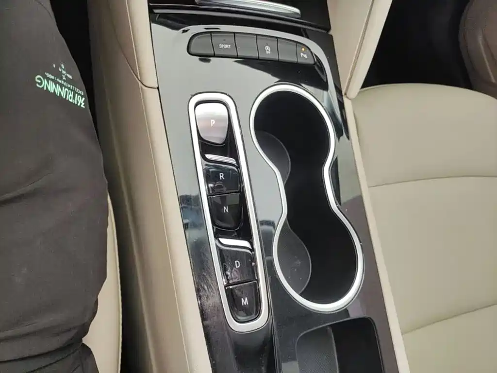 Buick Regal — миниатюра 14