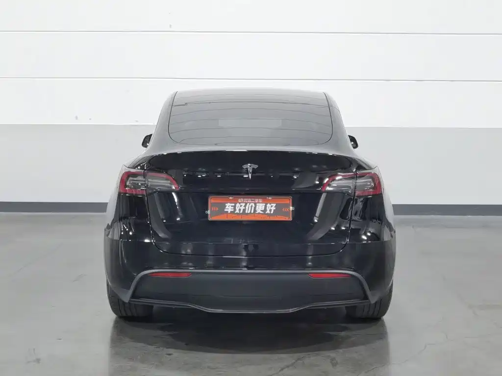 Tesla Model Y — миниатюра 4