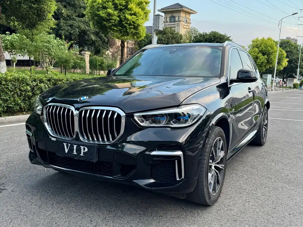 BMW X5 — миниатюра 2