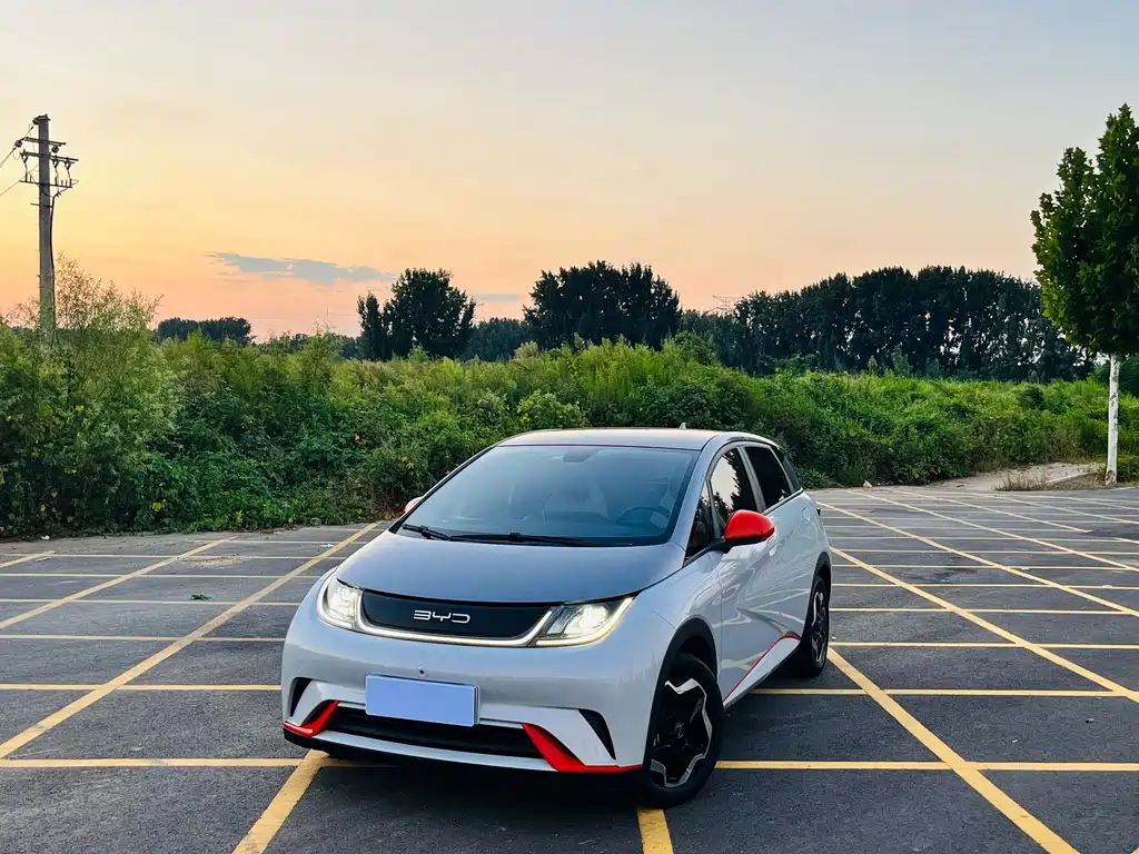 BYD Dolphin