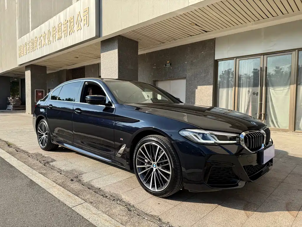 BMW 5 Series — миниатюра 3