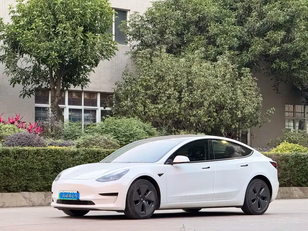 Tesla Model 3 — миниатюра 2