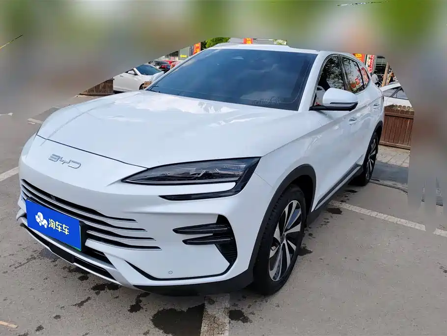 Byd PLUS New Energy 2024