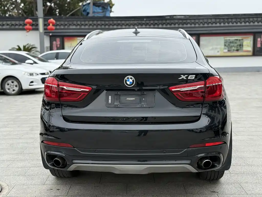 BMW X6 — миниатюра 8