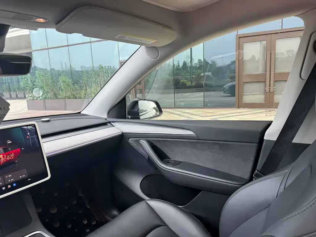 Tesla Model Y — миниатюра 10