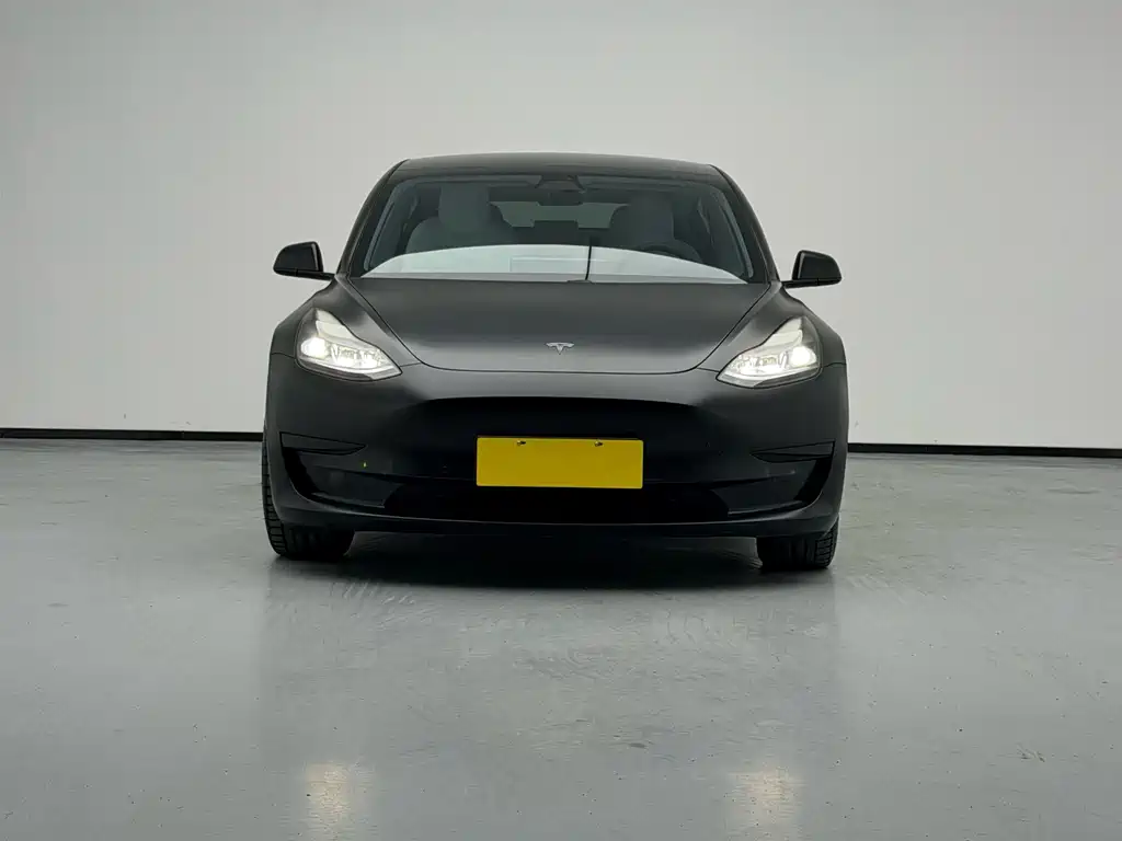 Tesla Model 3 — миниатюра 3