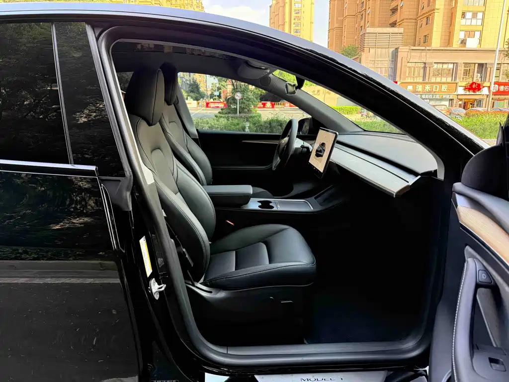 Tesla Model Y — миниатюра 11