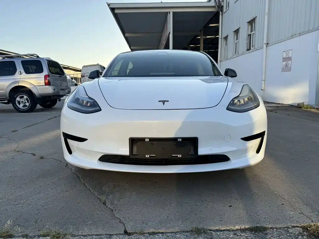 Tesla Model 3 — миниатюра 2