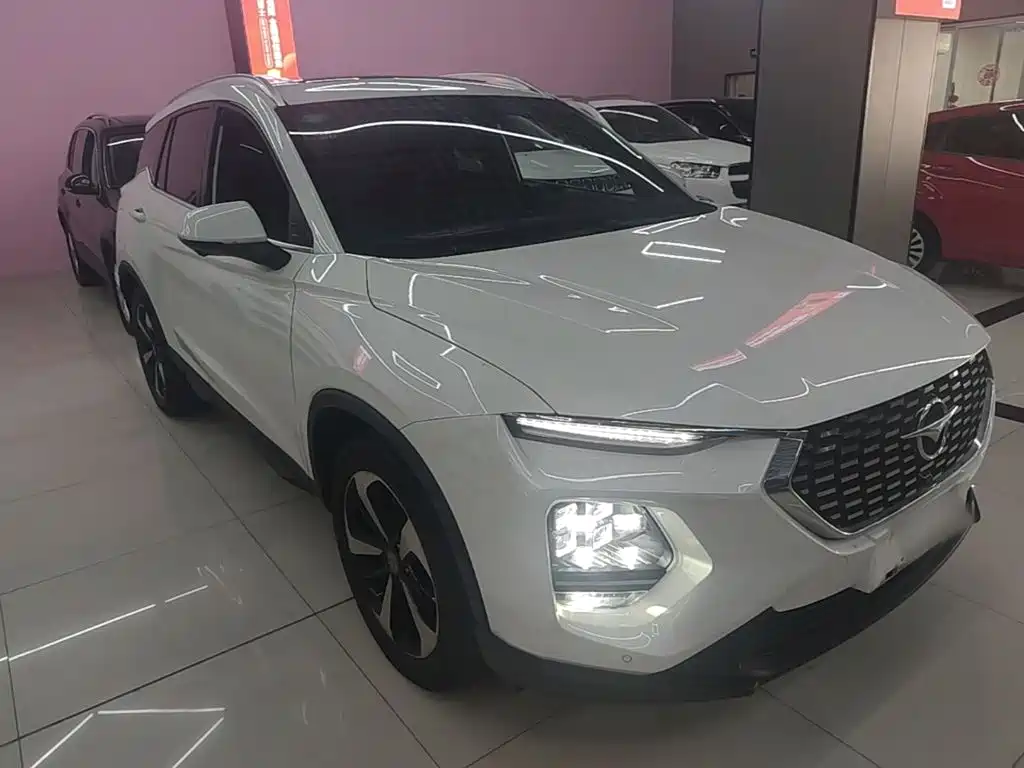 Haima Haima 8S — миниатюра 4
